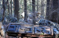 日本“摸摸就不落榜”的不倒巨石，被手欠大学生硬是用...